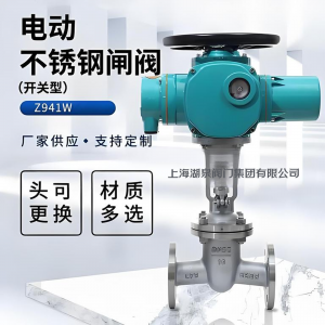 電動閘閥Z941W-25P DN250法蘭不銹鋼