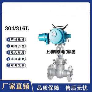 Z941W-16P，DN250，CF8/F304不銹鋼電動閘閥